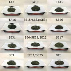 SA1 Our 12 Samples of Japanese Green Tea TAMARYOKUCHA & FUKAMUSHI-SENCHA & Organic SENCHA & SENCHA Loose Leaf 120g(4.23oz) Japan